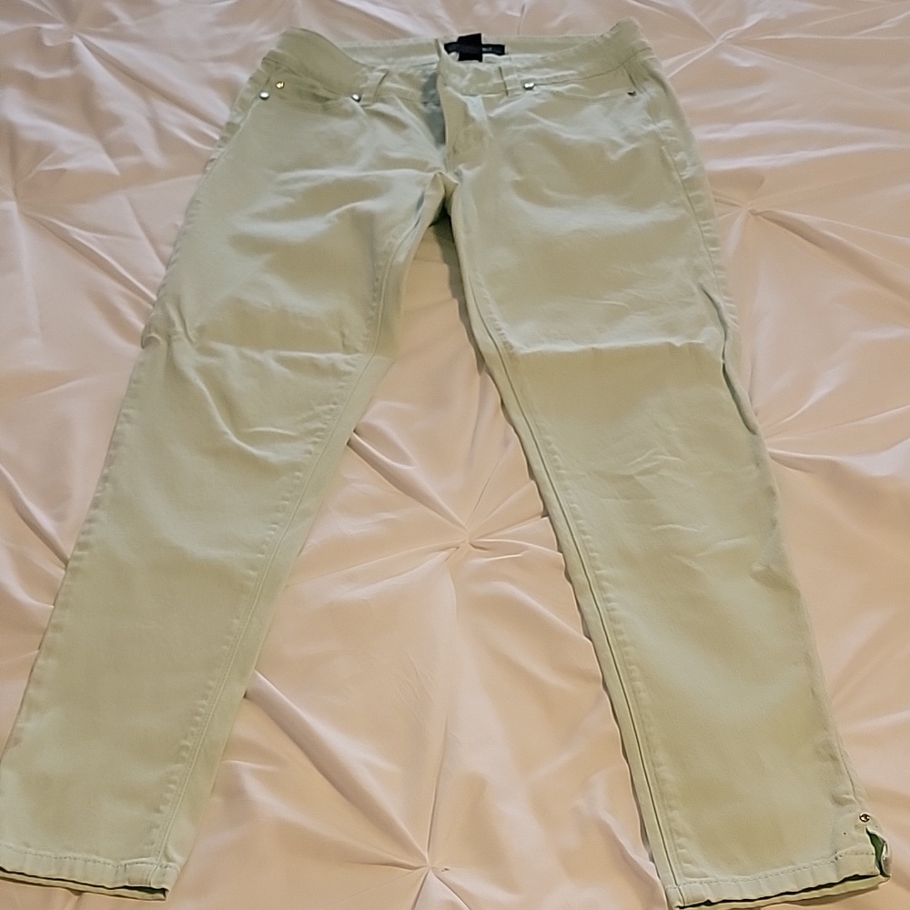 WHBM Light Green Pants